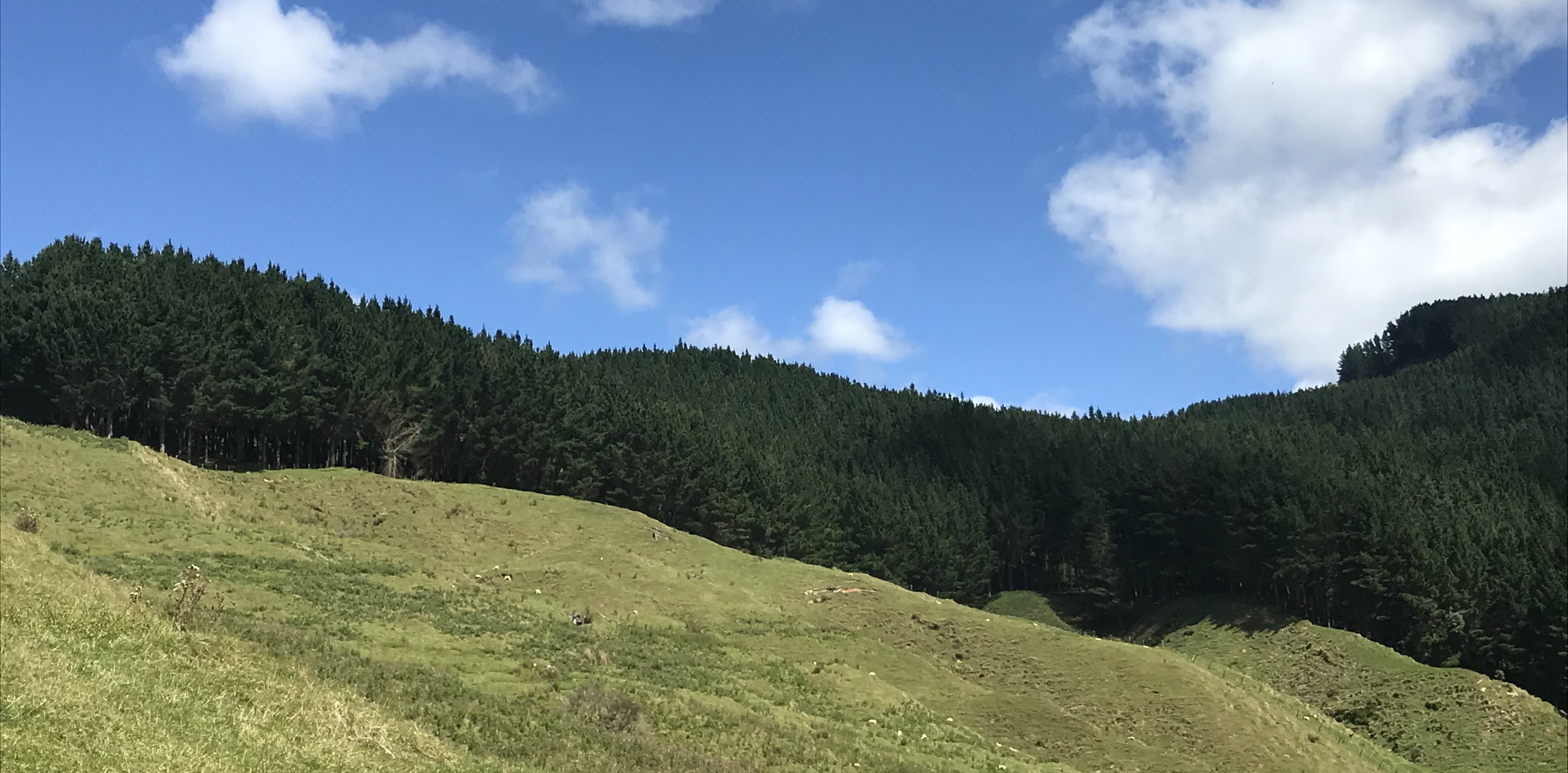 Arapito Partnership 7