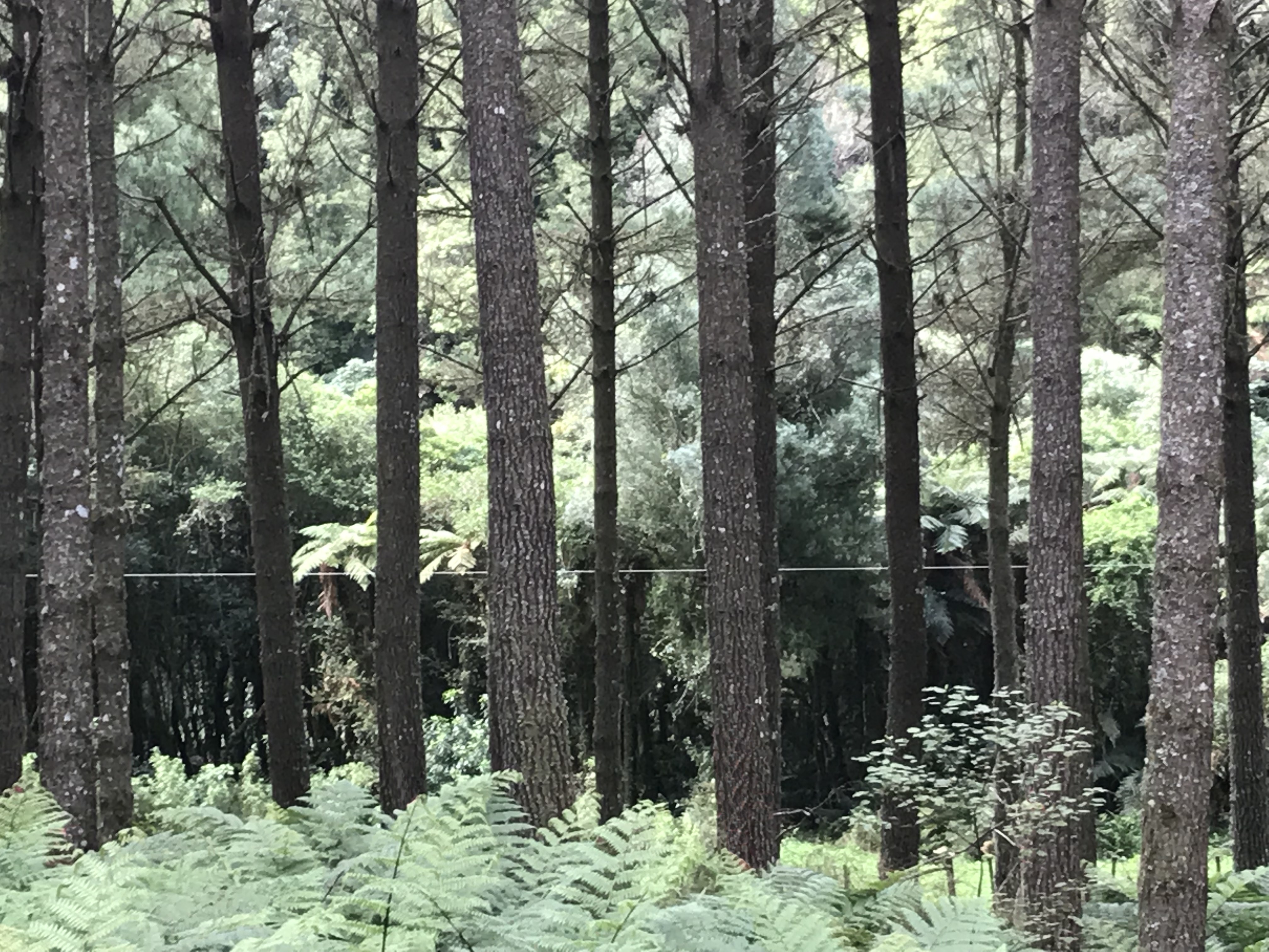 Aratoro Partnership 14