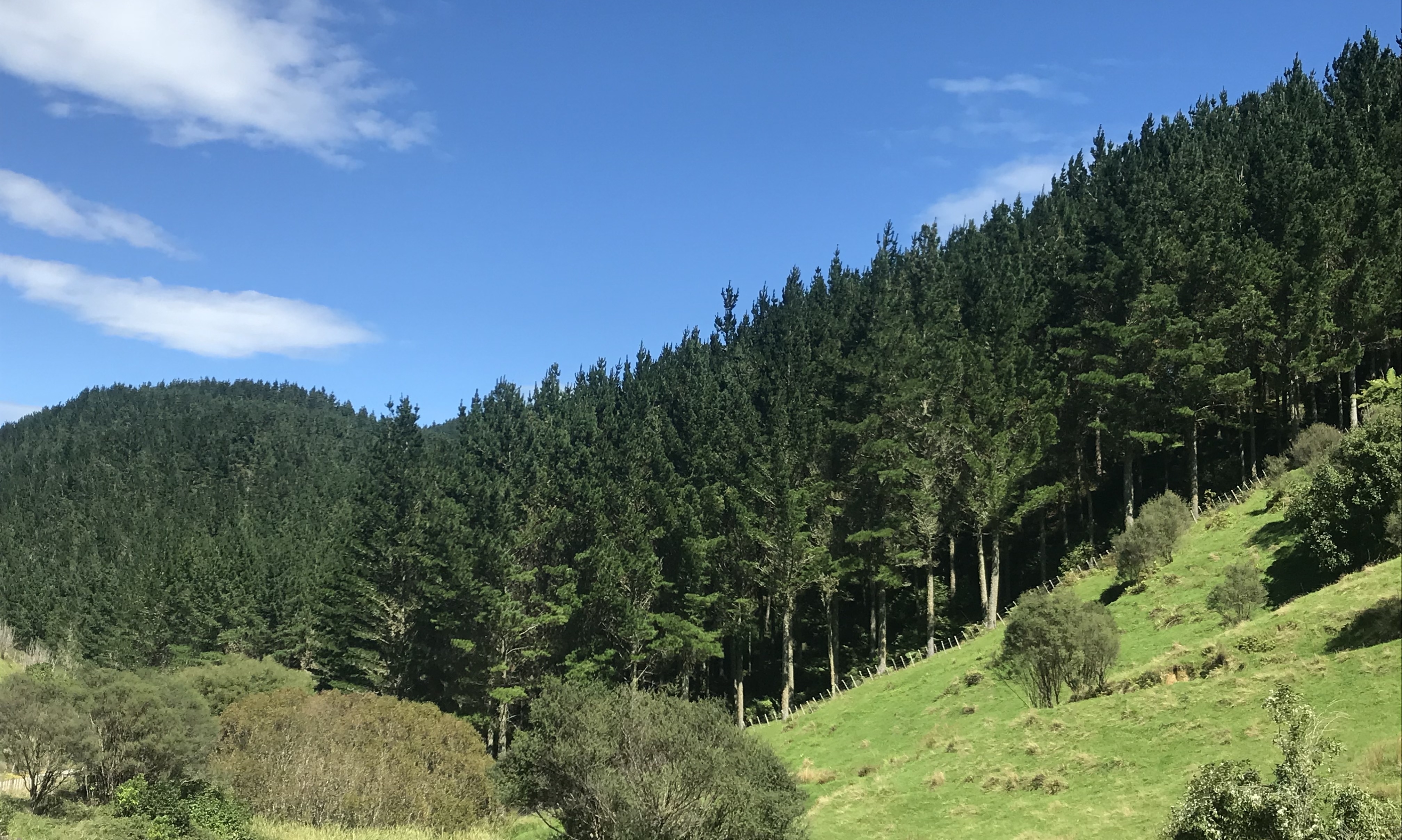 Squires Creek Partnership