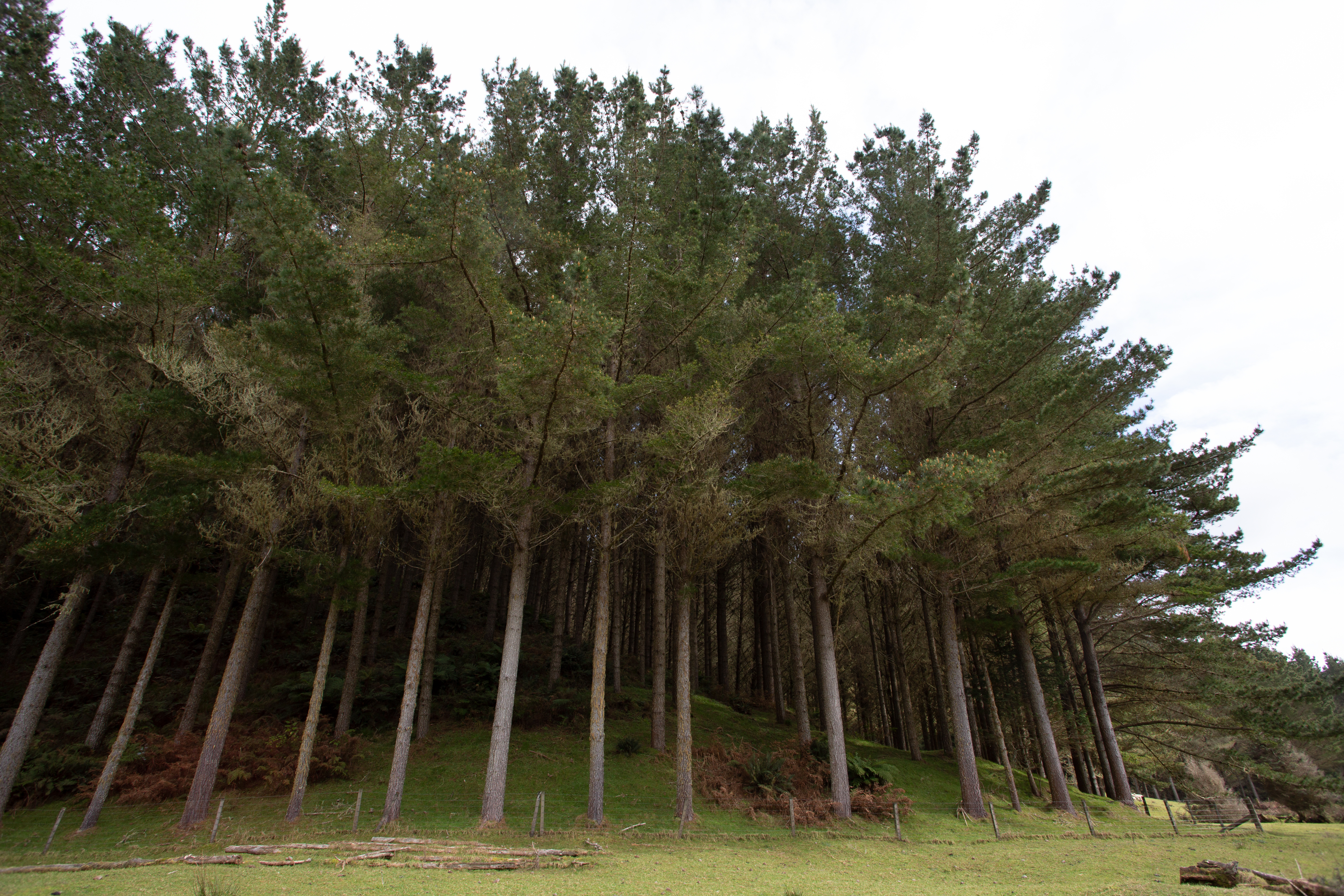 AML/CFT And Investor Identity Verification