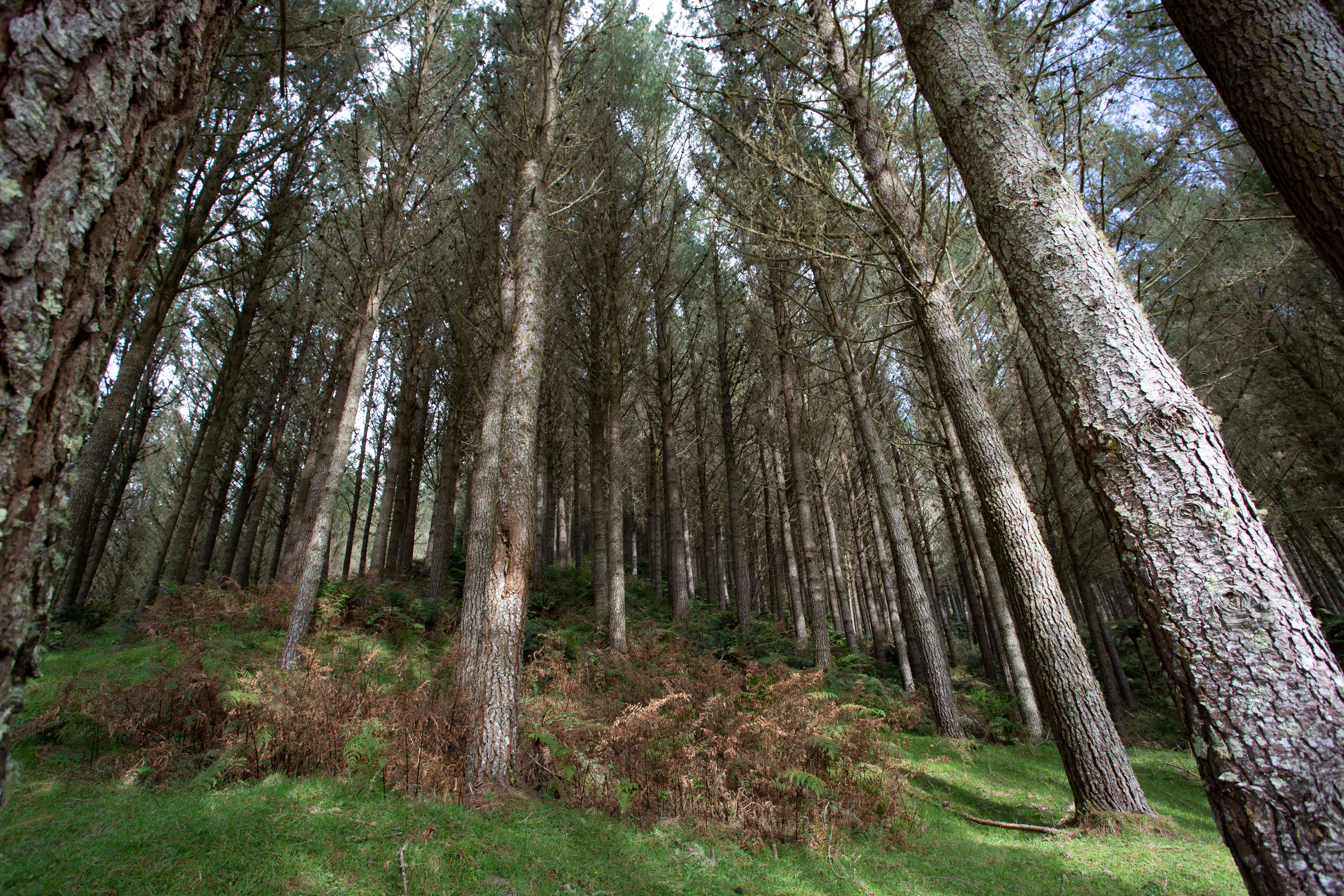 2017 Partnership AGM Meeting Minutes